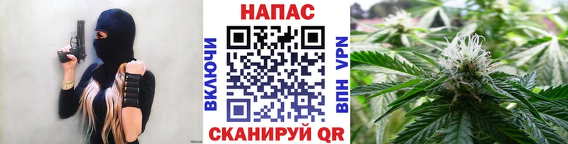 Виды наркотиков купить Завитинск Alpha-PVP  Каннабис  omg онион  Кокаин 