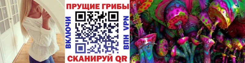 мега ТОР  Завитинск  Галлюциногенные грибы MAGIC MUSHROOMS  купить закладку 